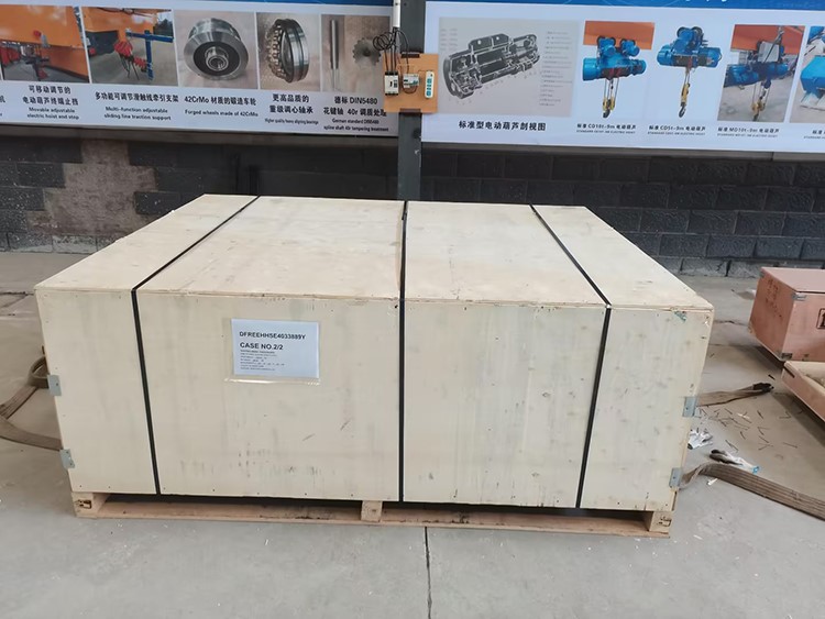 Double Girder Hoist Packing Double Girder Hoist Packing